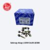 Sekrup Atap 12x35