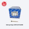 Sekrup Atap 12x70